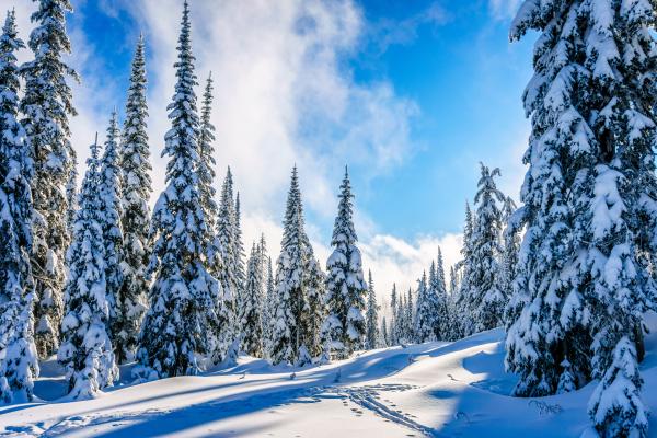 CANADA  HIVER - VACANCES SCOLAIRES ZONE C