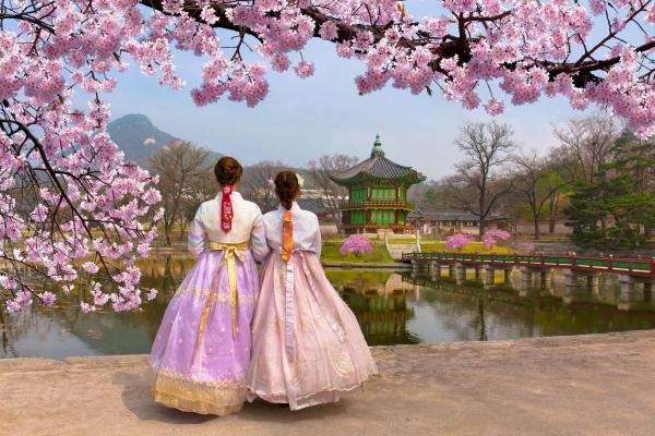 COREE DU SUD - SEOUL EN LIBERTE - VACANCES DE LA TOUSSAINT