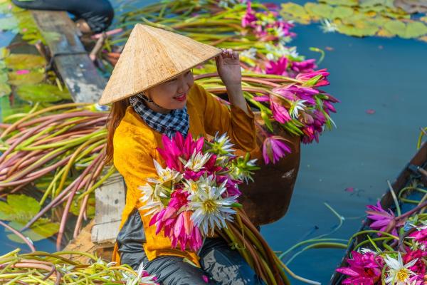 VIETNAM - RIZIERES ET BAIE D'HALONG