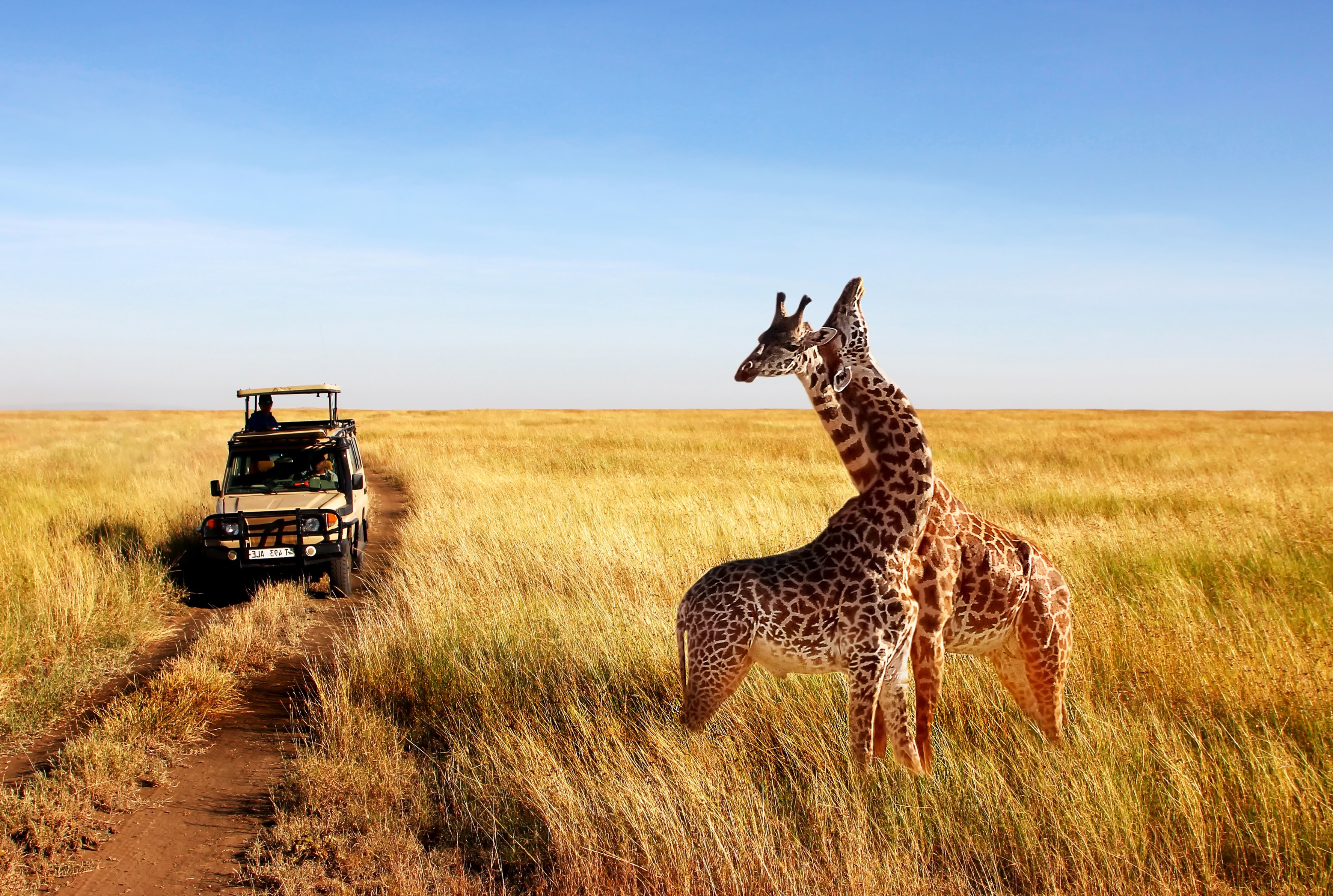 Tanzanie Et Zanzibar