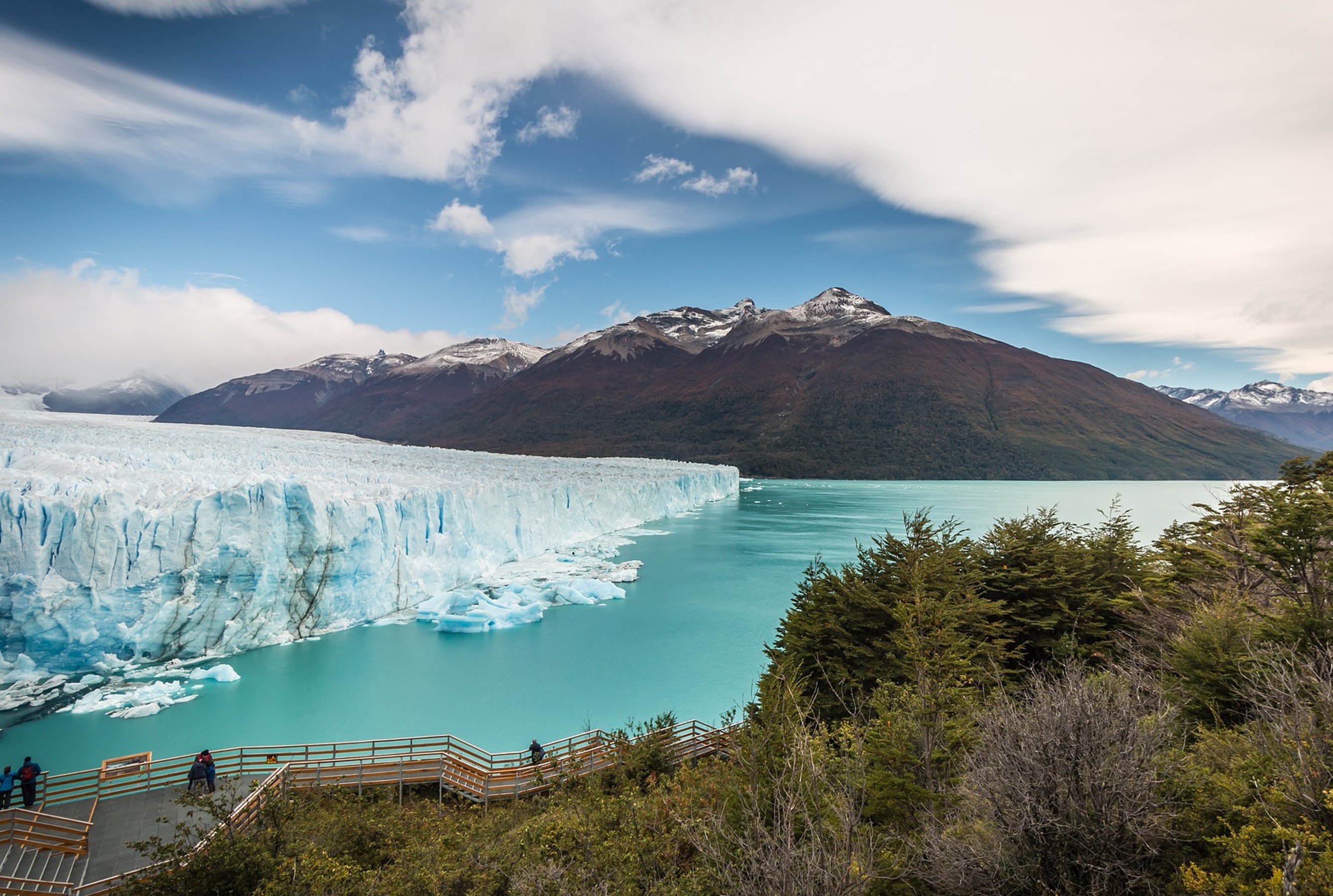 Argentine