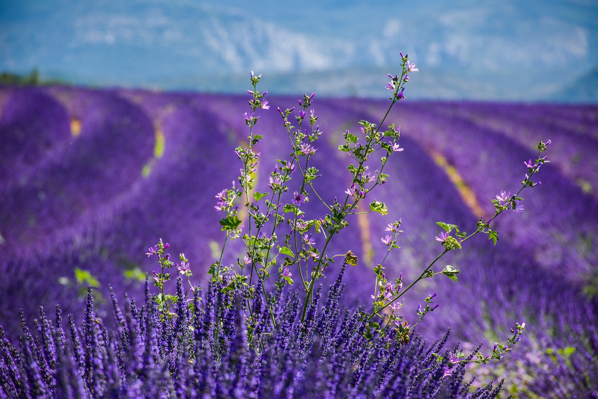 France