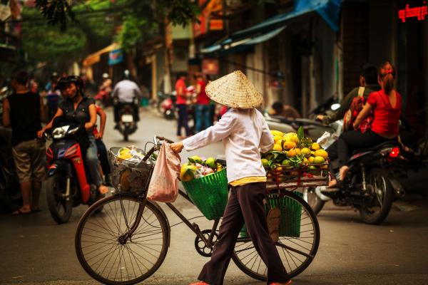 DYNASTIES VIETNAMIENNES - VIETNAM