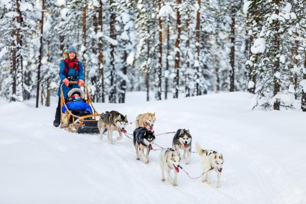 SEJOUR MULTI-ACTIVITES - LAPONIE FINLANDAISE