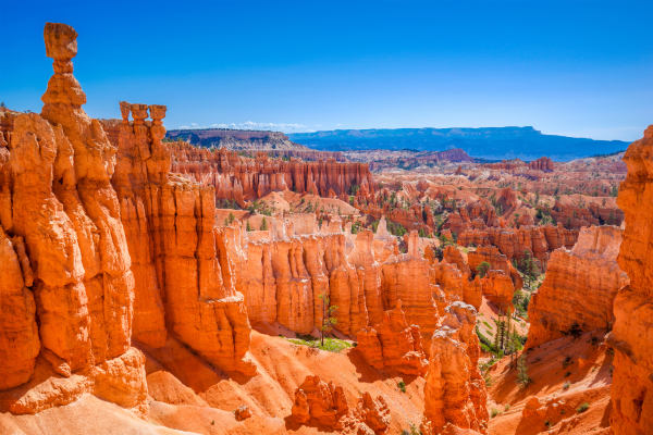 BRYCE CANYON 