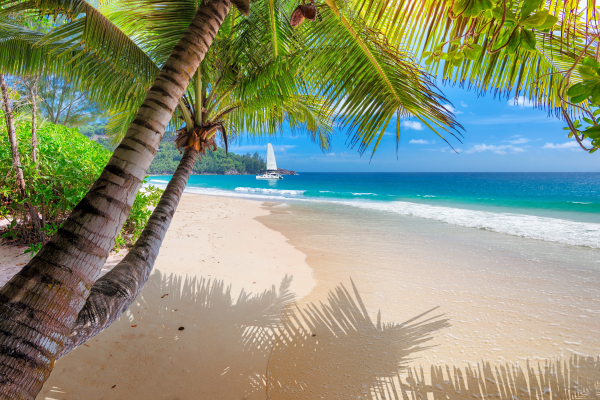 ANTILLES ET CARAIBES 2